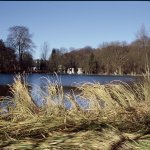 03.FORET DE SOIGNES, Rouge-Cloître - Etang du moulin